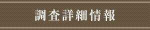 調査詳細情報